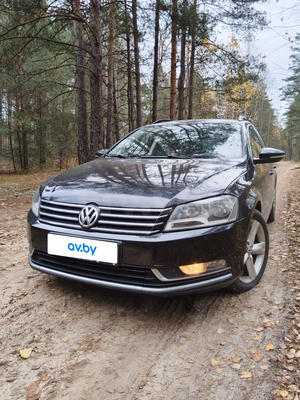 Volkswagen Passat фото 4