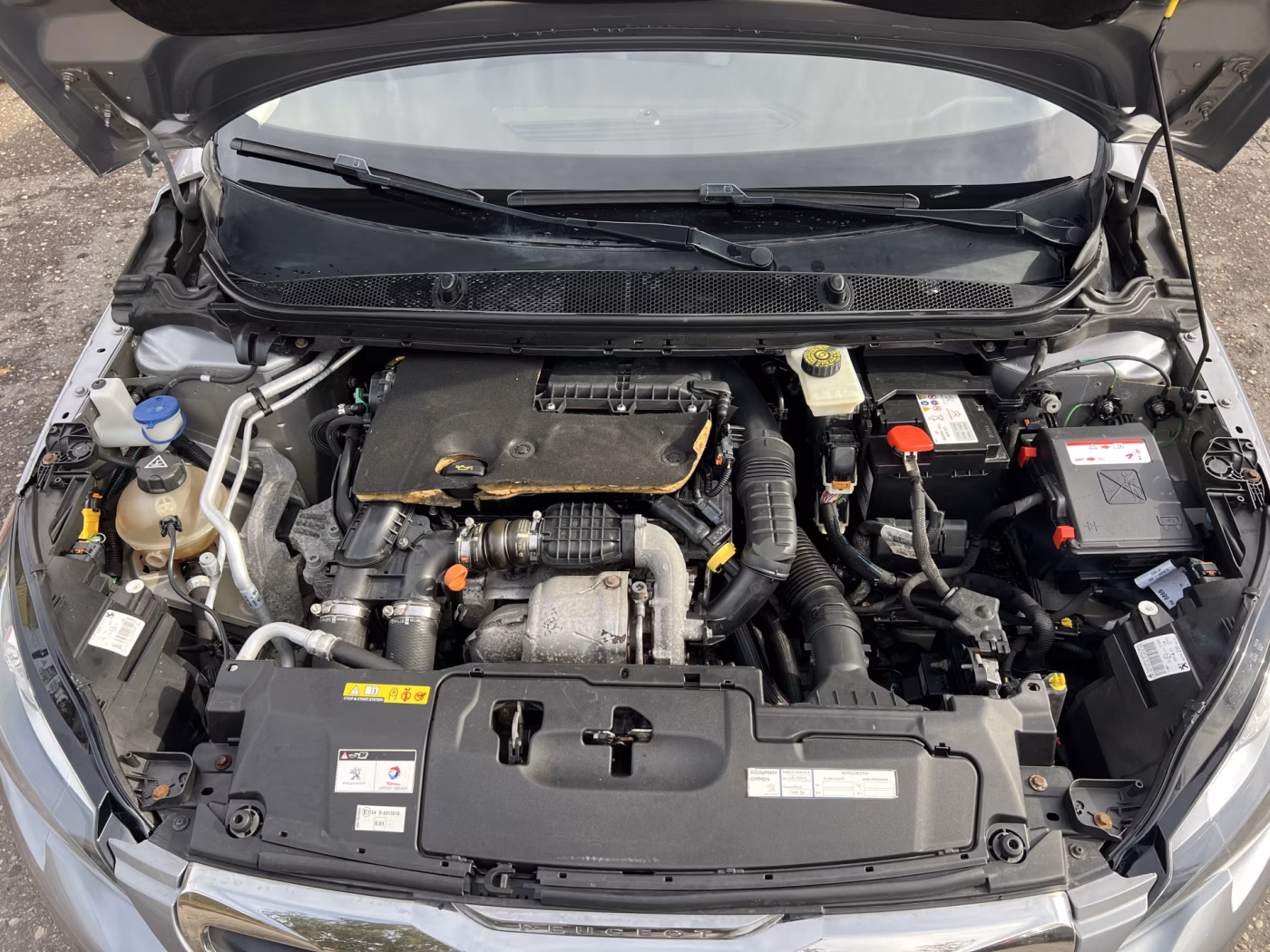 Peugeot 308 фото 20