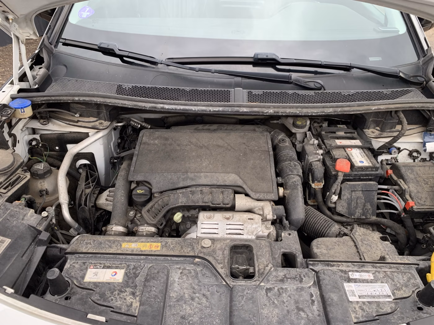 Peugeot 3008 фото 16