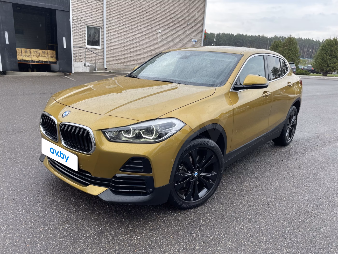 BMW X2
