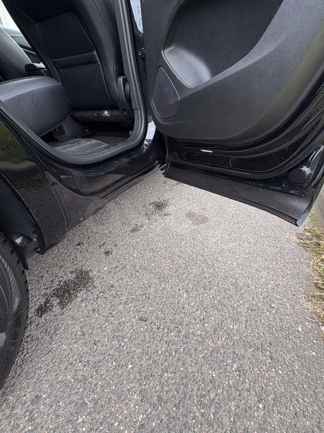 Opel Grandland X фото 4