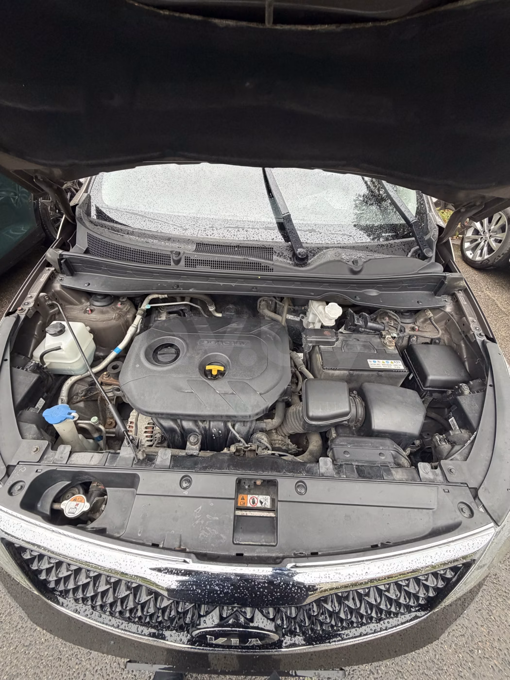 Kia Sportage фото 7