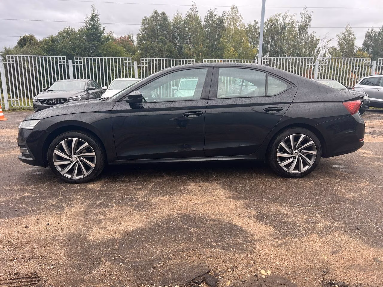 Skoda Octavia фото 2