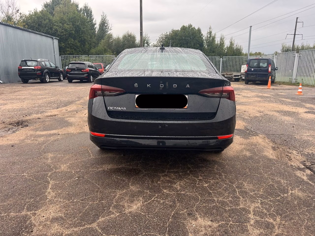 Skoda Octavia фото 6