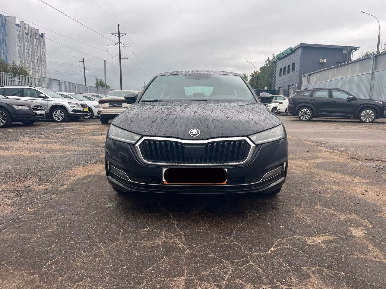 Skoda Octavia фото 8