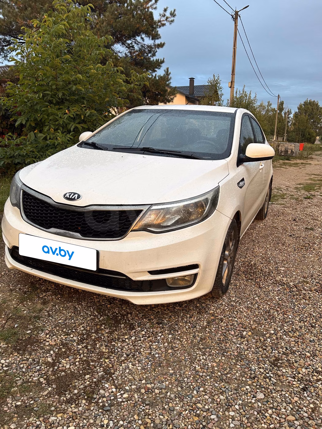 Kia Rio