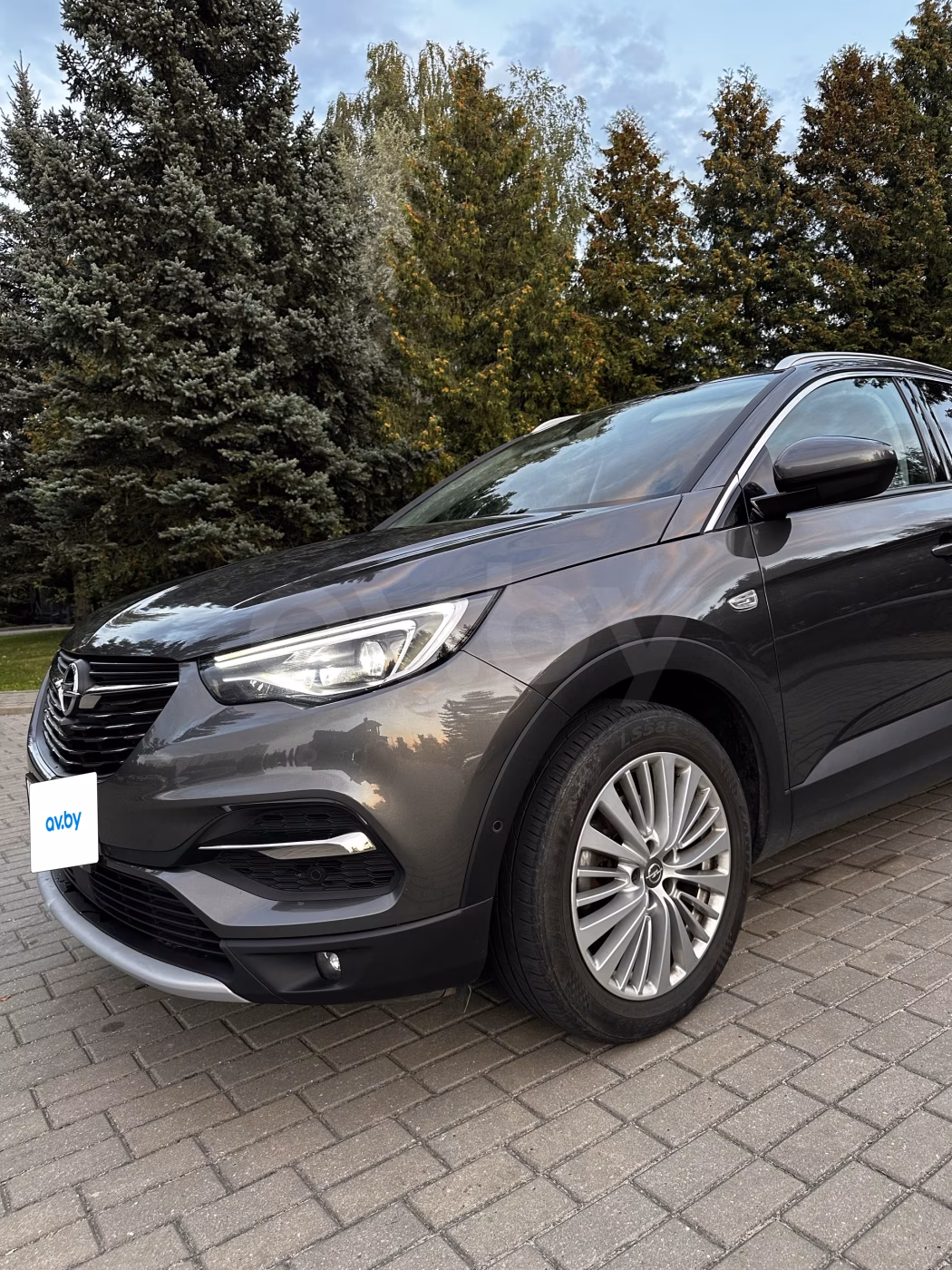 Opel Grandland X фото 14