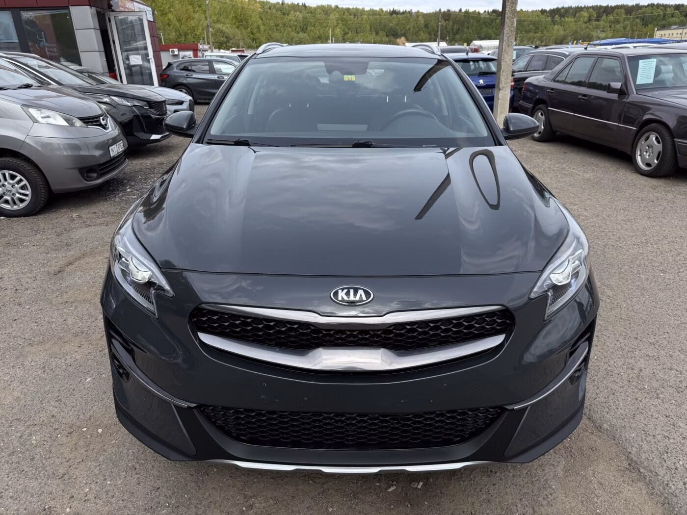 Kia XCeed фото 4