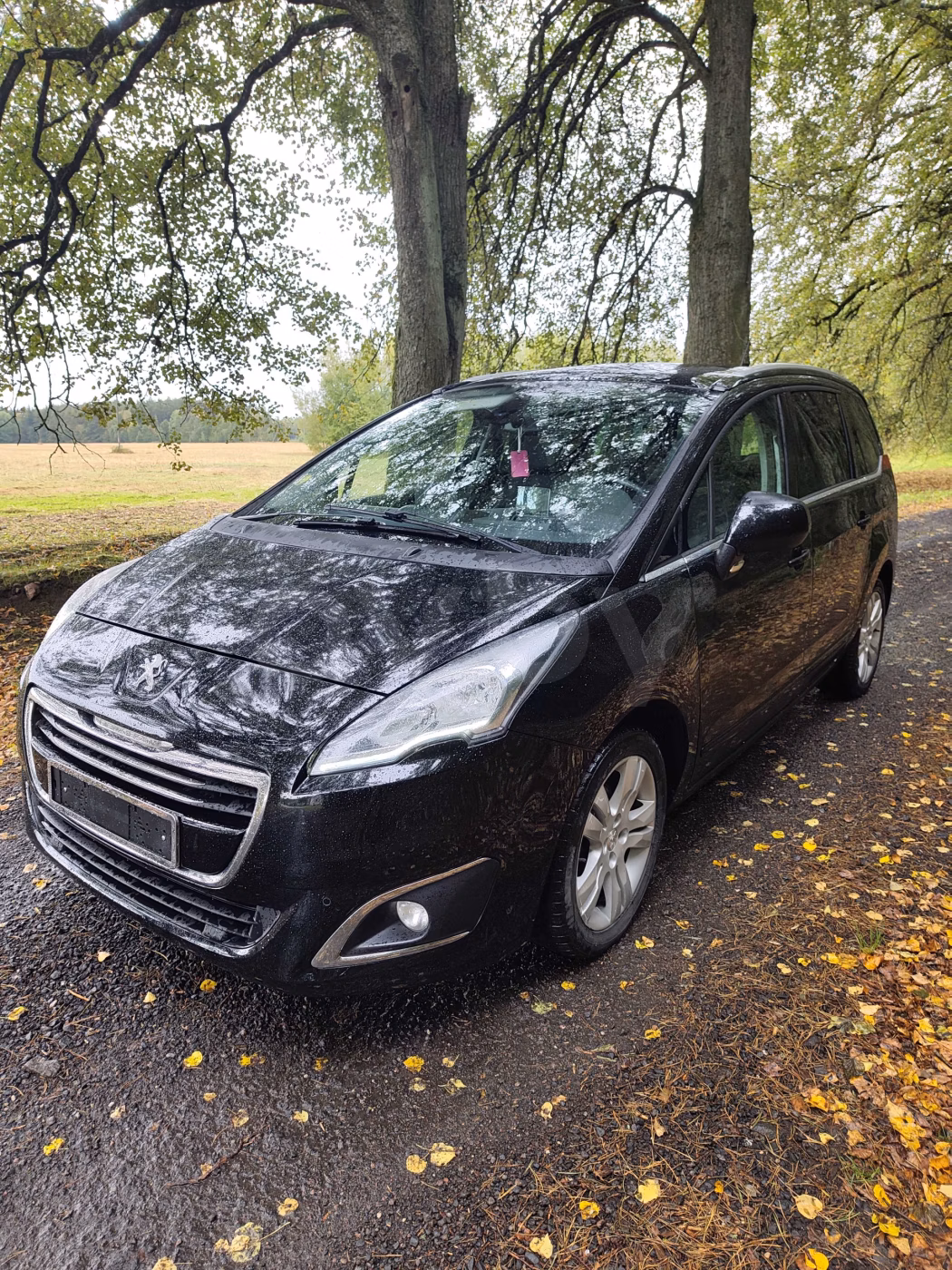 Peugeot 5008 фото 2