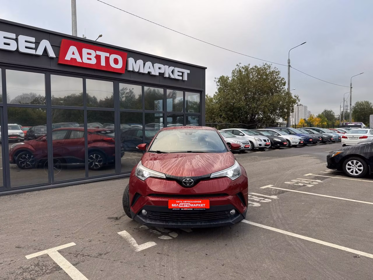 Toyota C-HR фото 2
