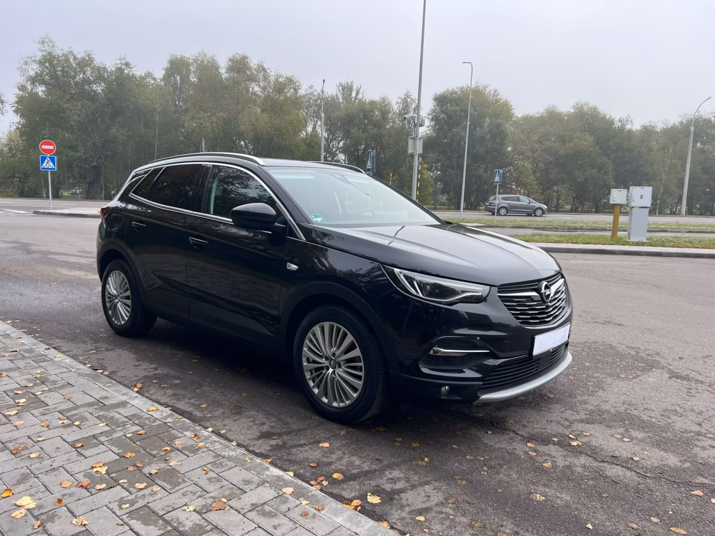 Opel Grandland X фото 4