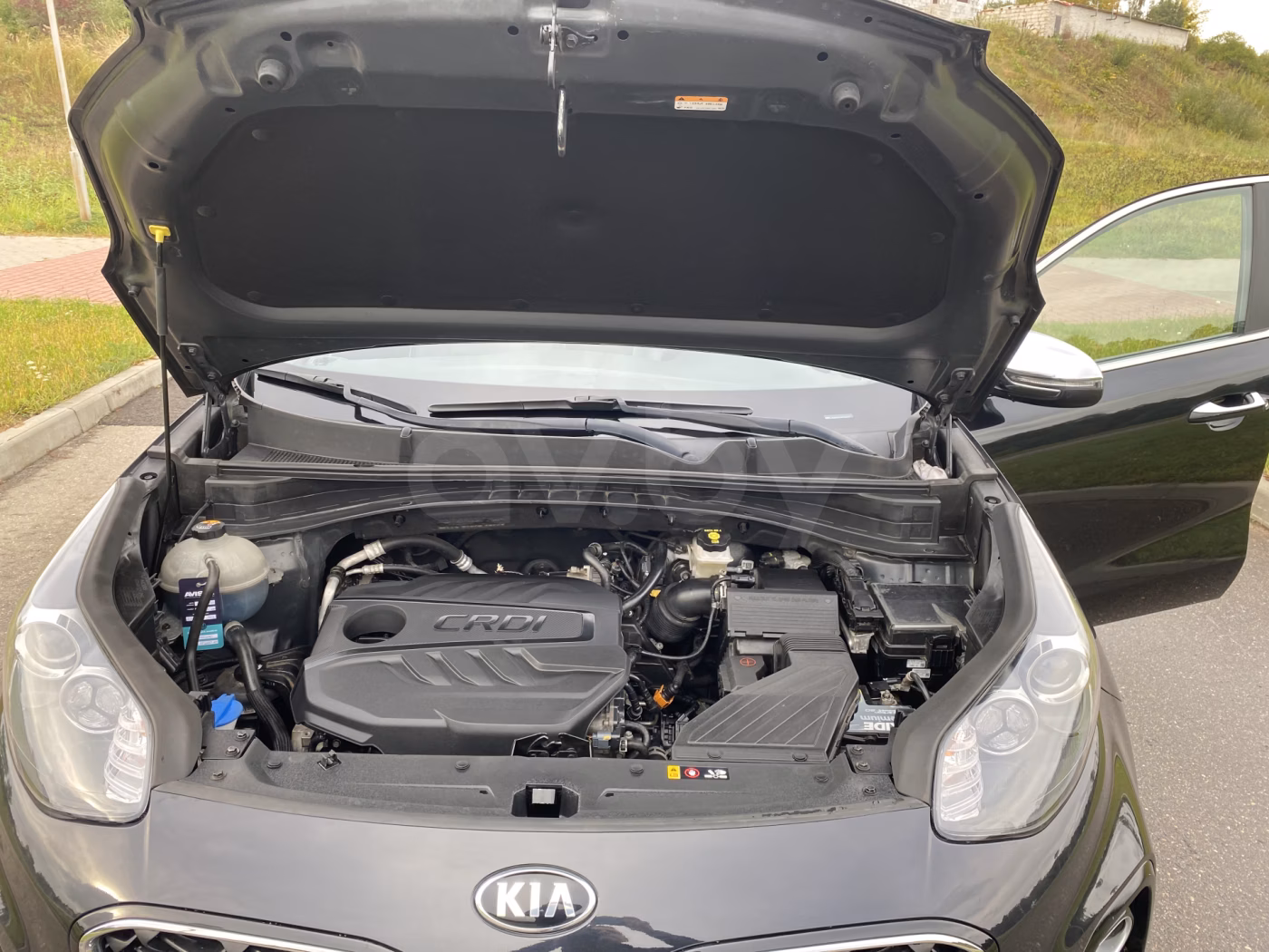 Kia Sportage фото 16