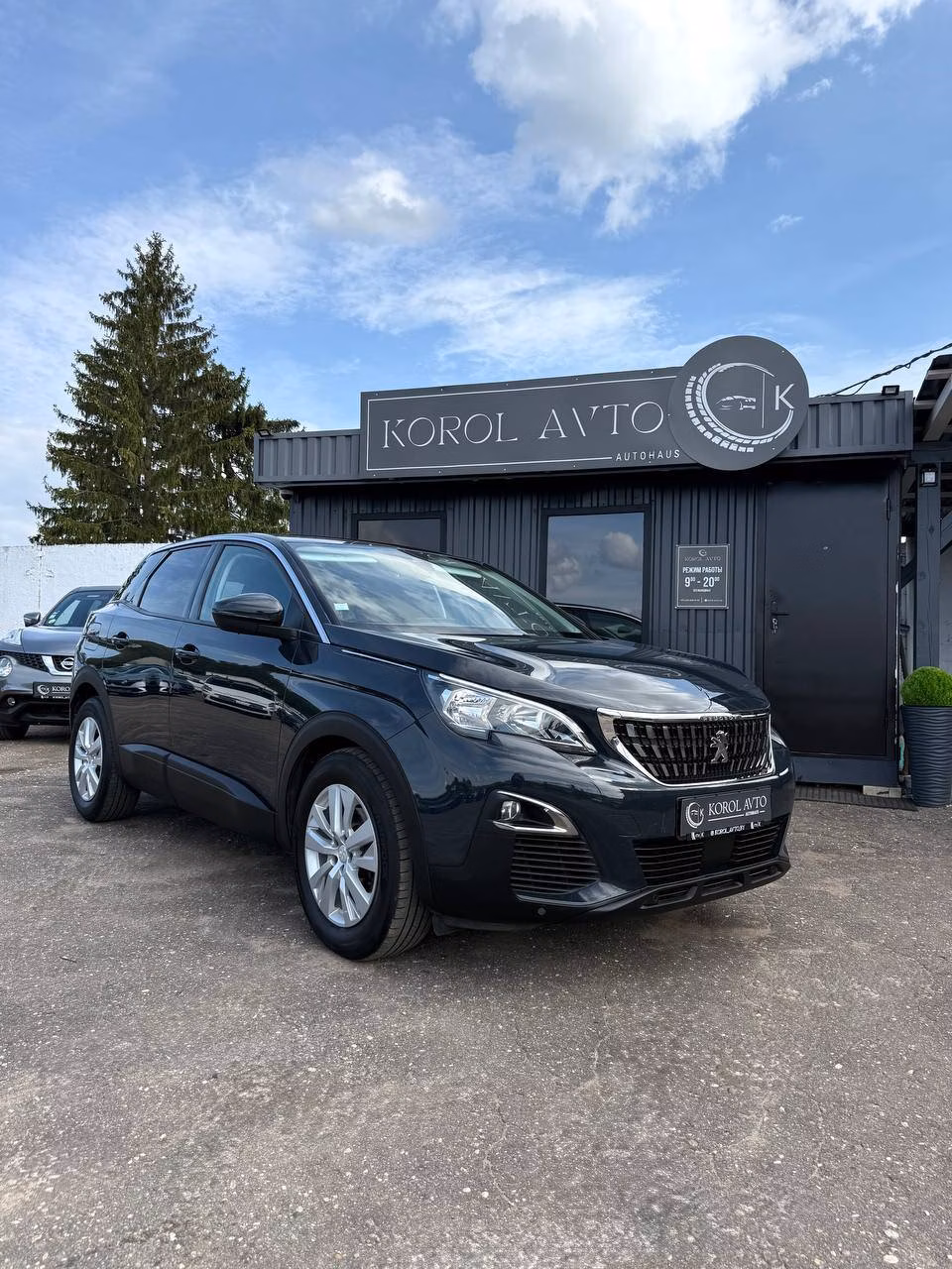 Peugeot 3008 фото 3