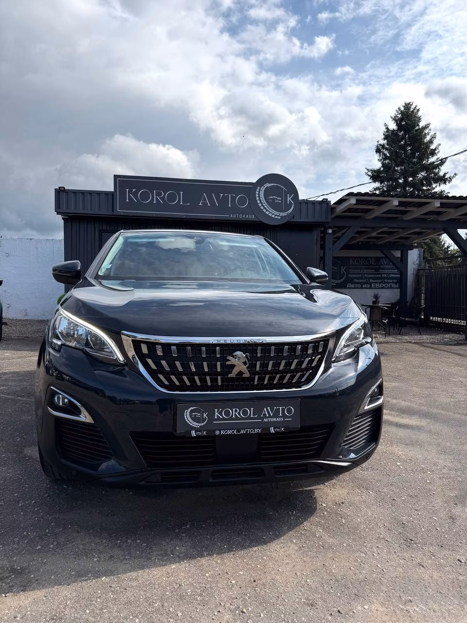 Peugeot 3008 фото 8