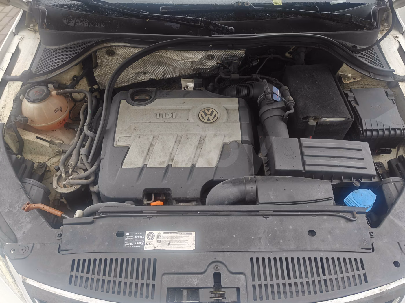 Volkswagen Tiguan фото 8