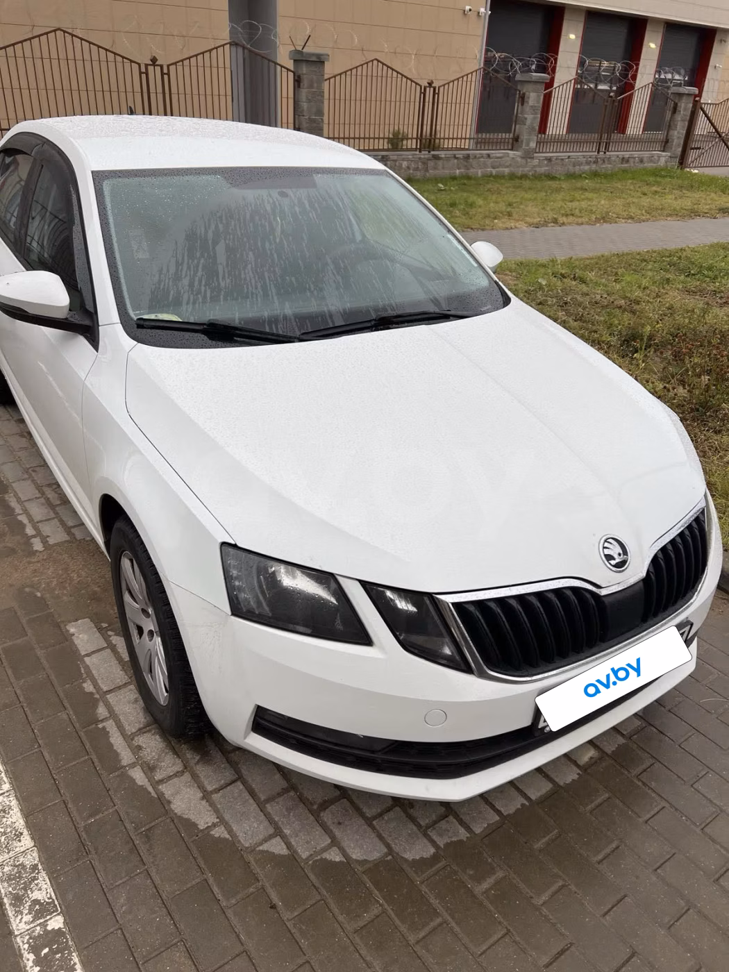 Skoda Octavia фото 2