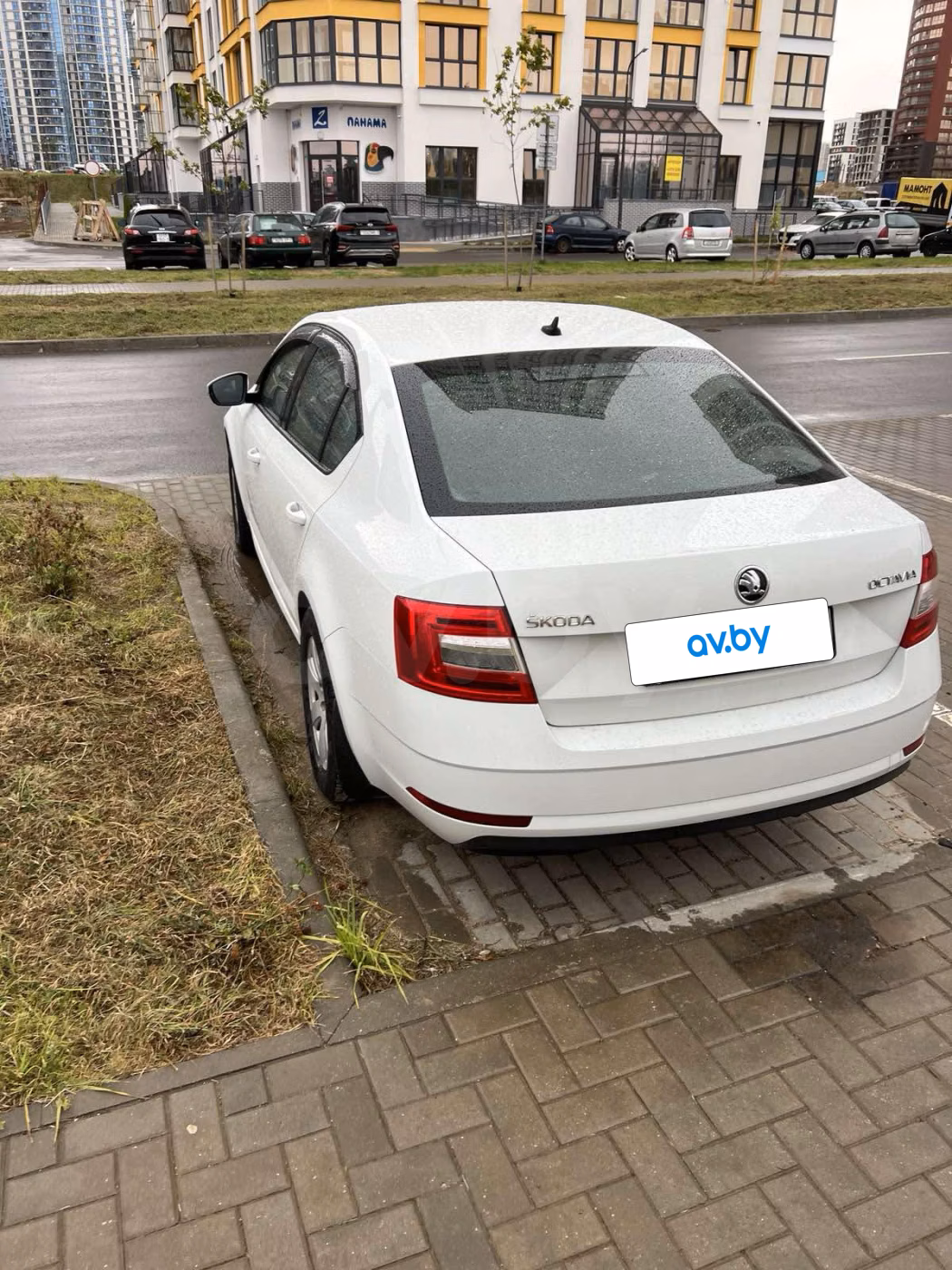 Skoda Octavia фото 4