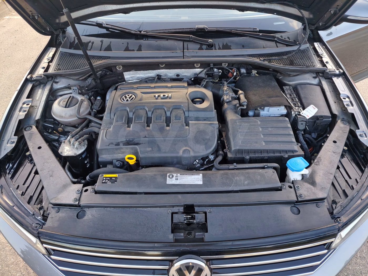 Volkswagen Passat фото 3