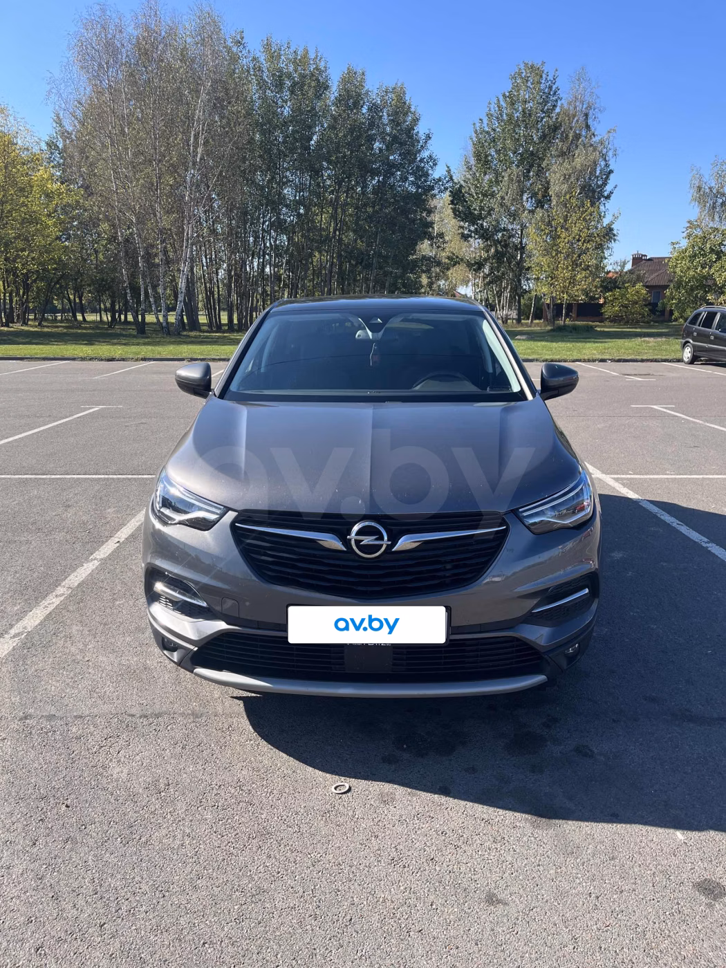 Opel Grandland X фото 3