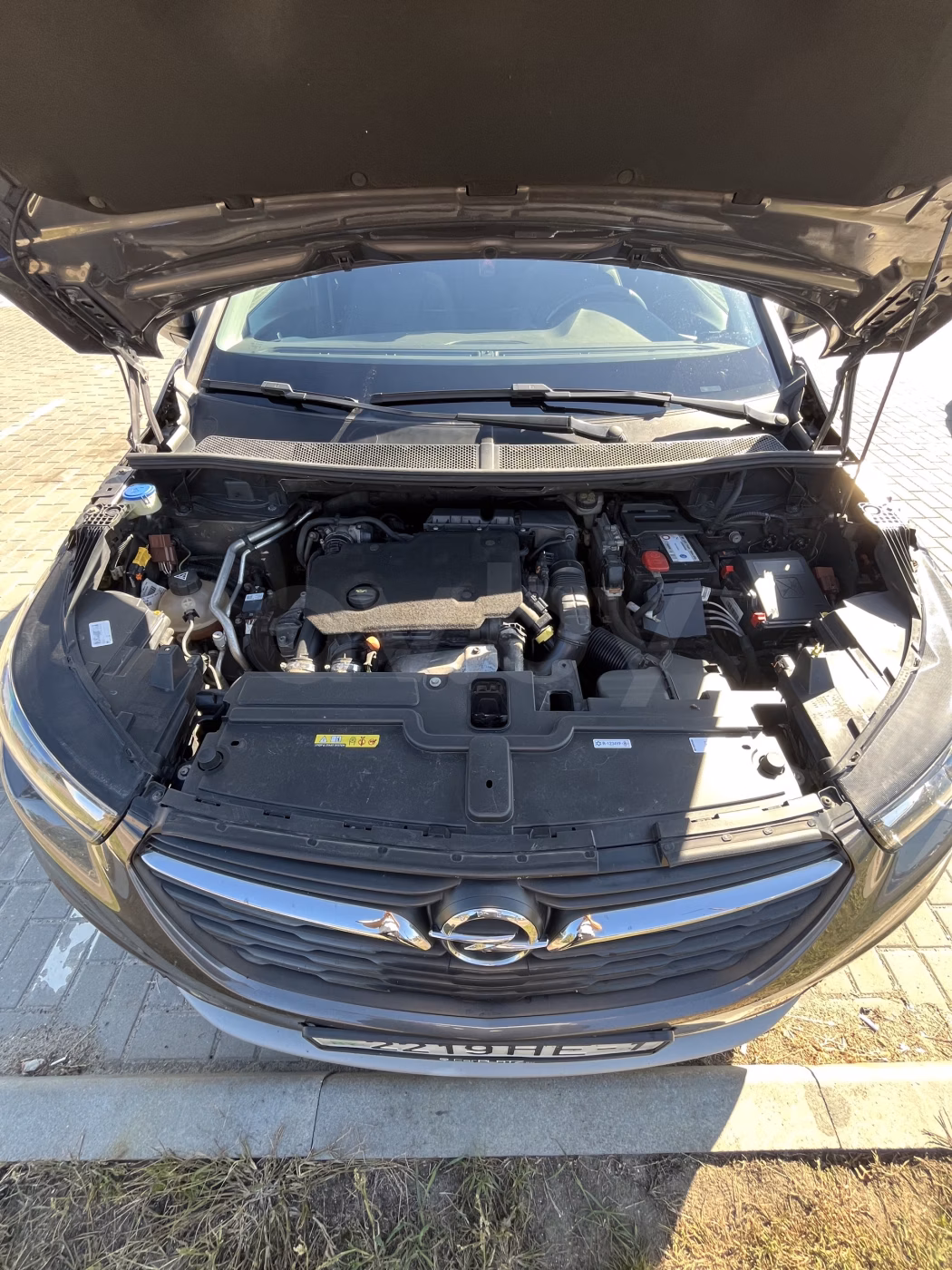 Opel Grandland X фото 10
