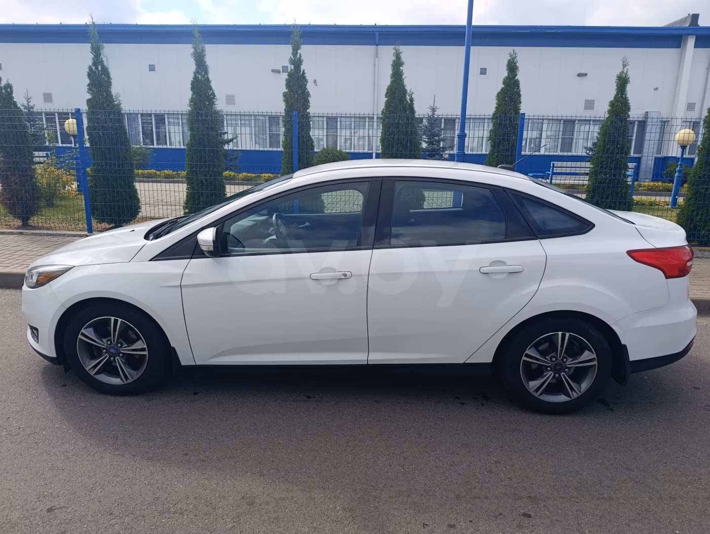 Ford Focus фото 5