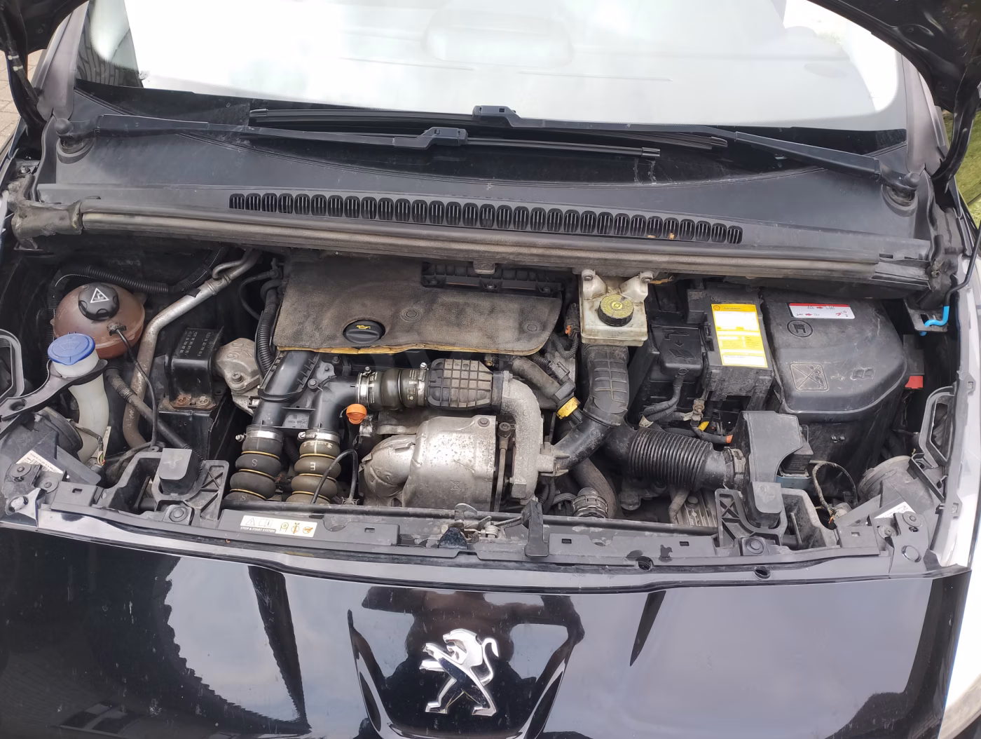 Peugeot 5008 фото 3