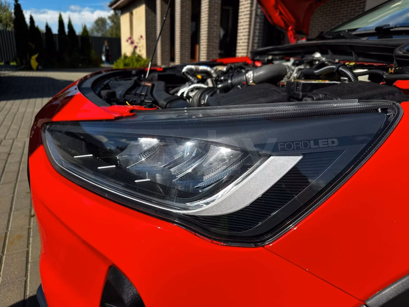 Ford Focus Active фото 15