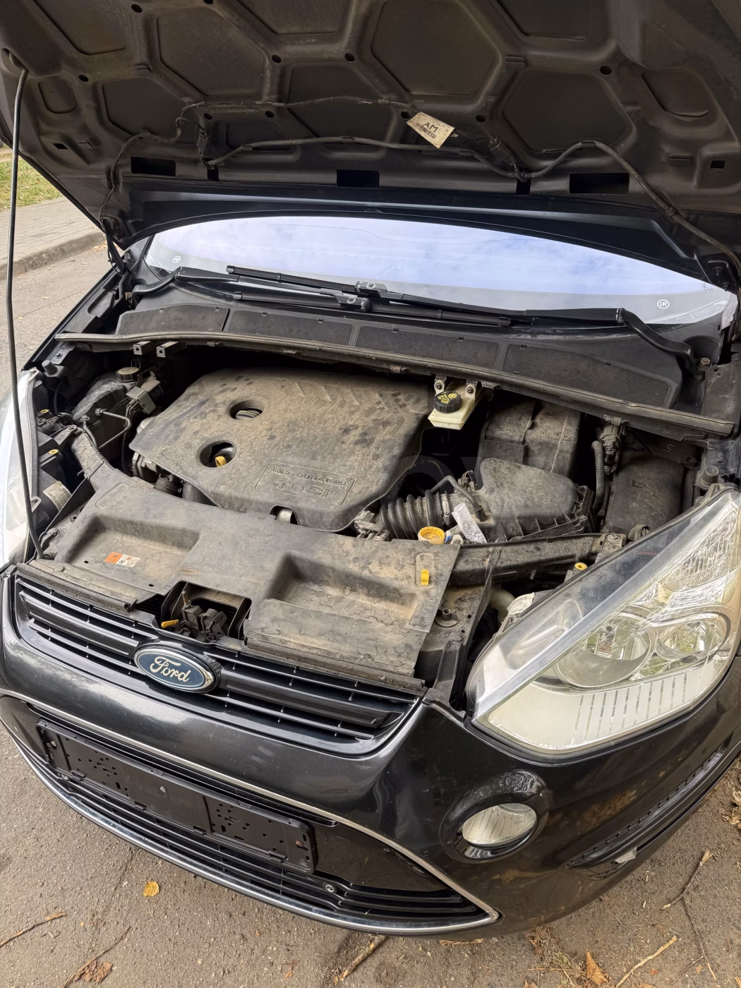 Ford S-MAX фото 15