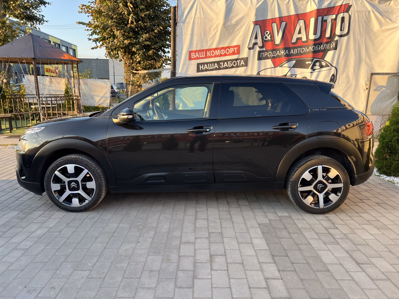 Citroen C4 Cactus фото 5