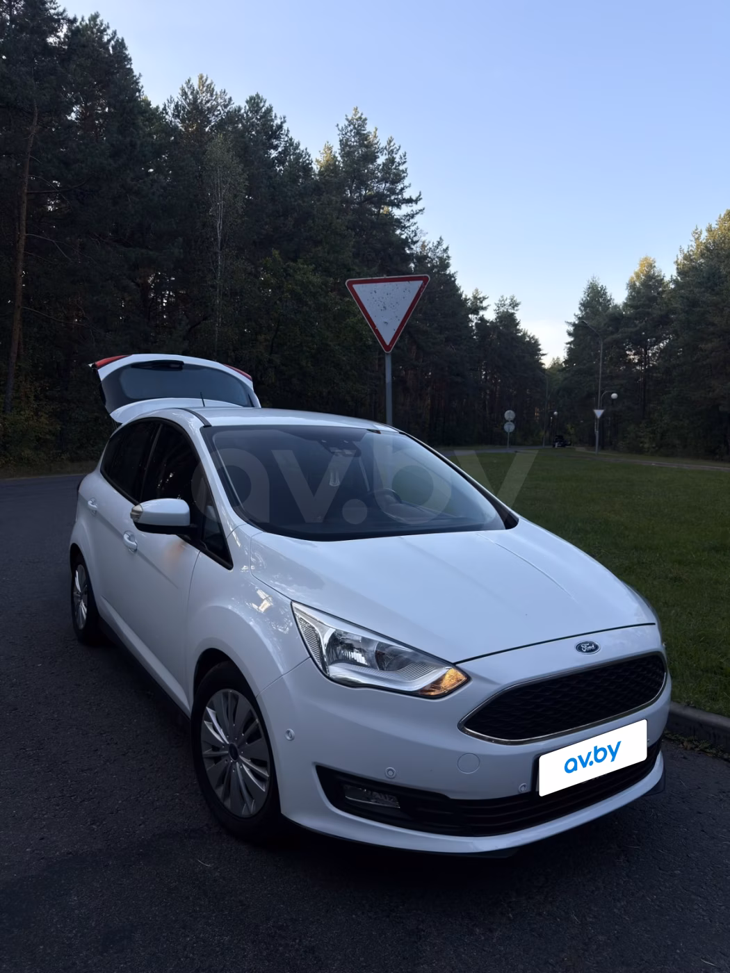 Ford C-MAX фото 15