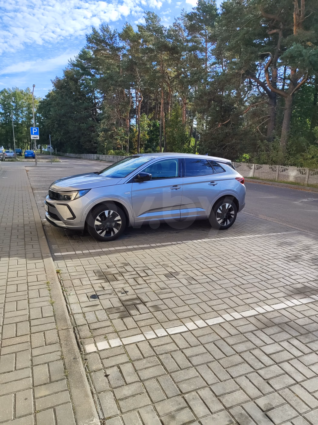Opel Grandland X фото 5