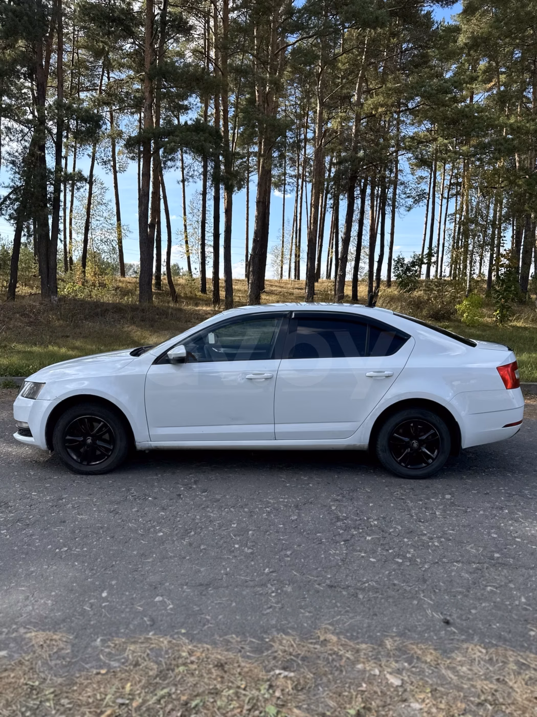 Skoda Octavia фото 3