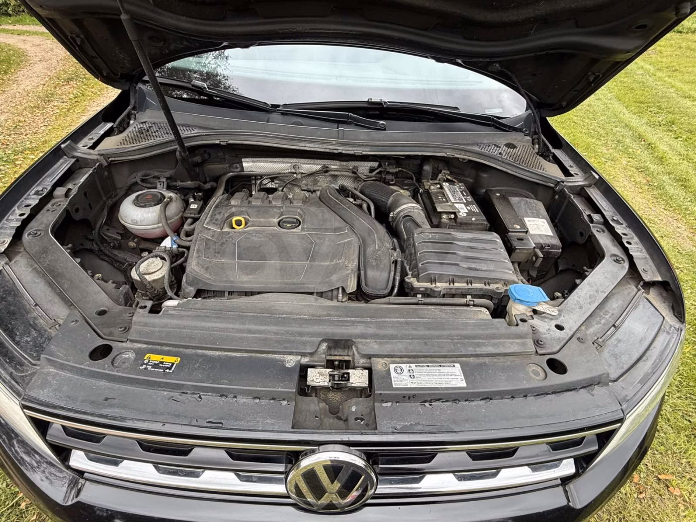 Volkswagen Tiguan фото 10