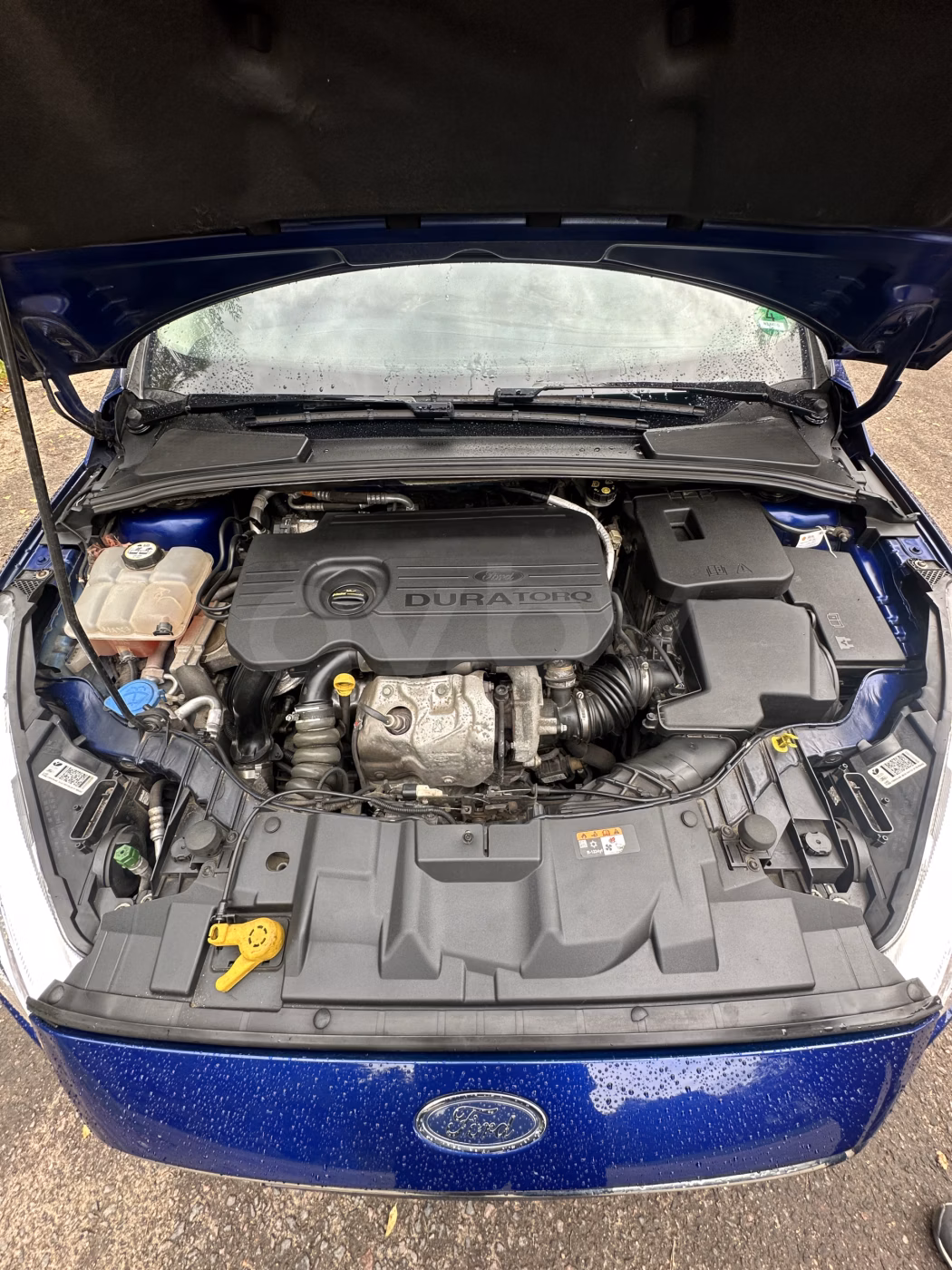 Ford Focus фото 9