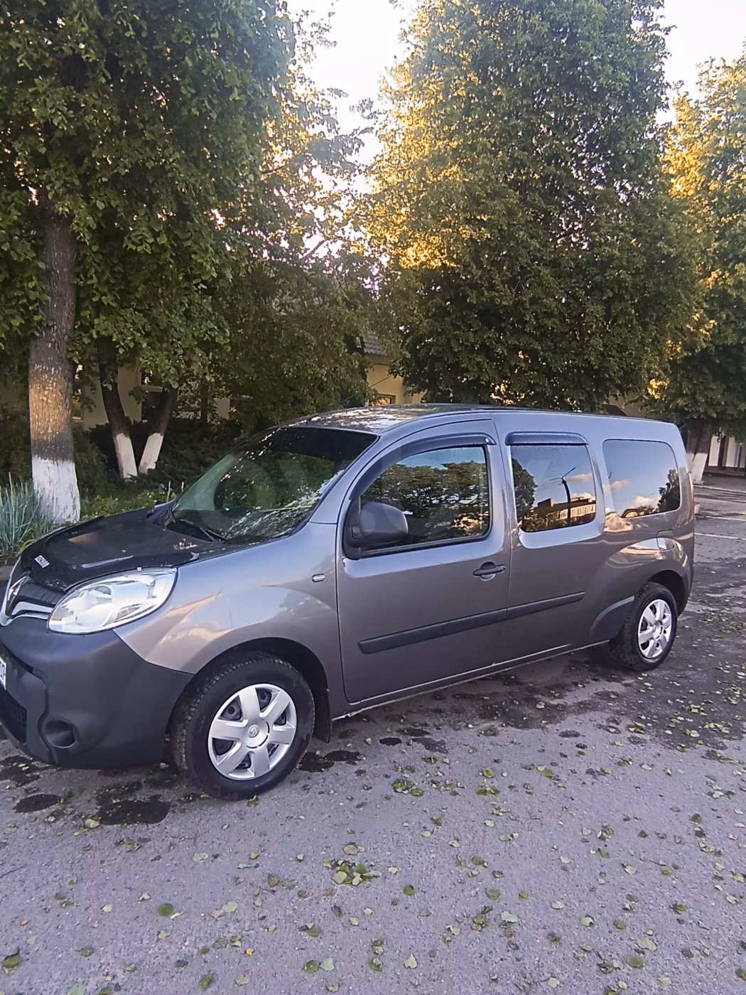 Renault Kangoo фото 16