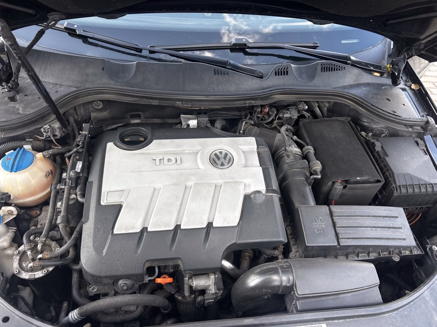 Volkswagen Passat фото 14
