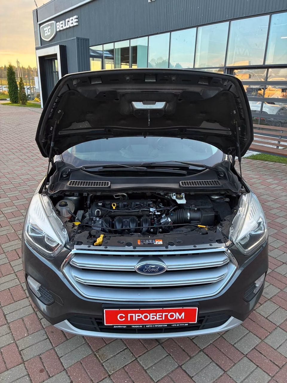 Ford Kuga фото 10