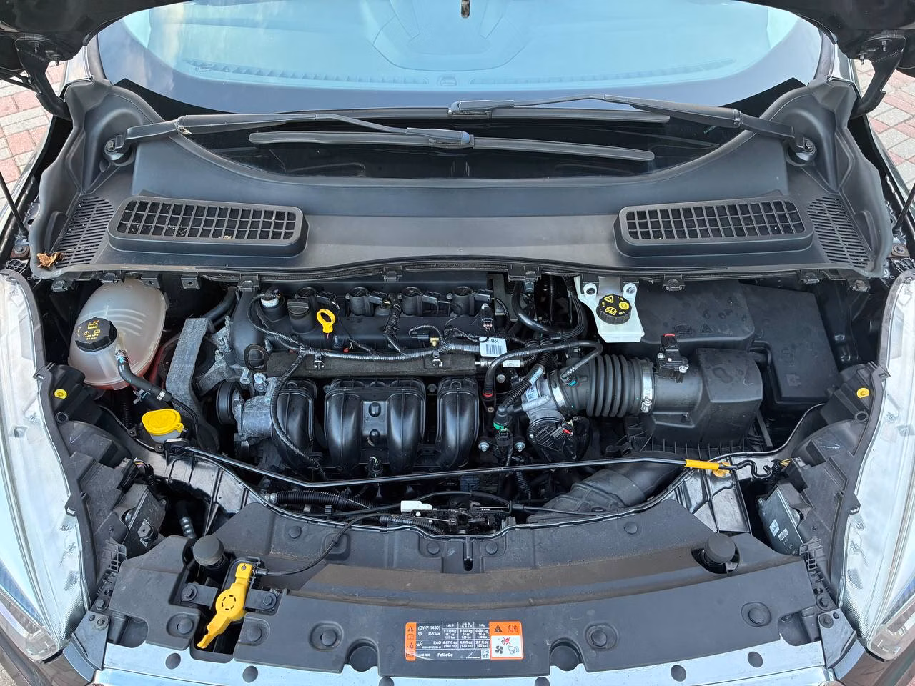 Ford Kuga фото 11