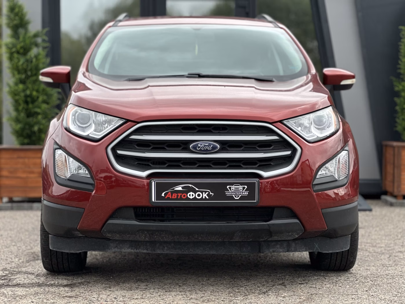 Ford EcoSport фото 8