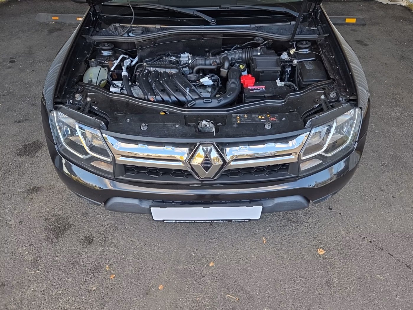 Renault Duster фото 16