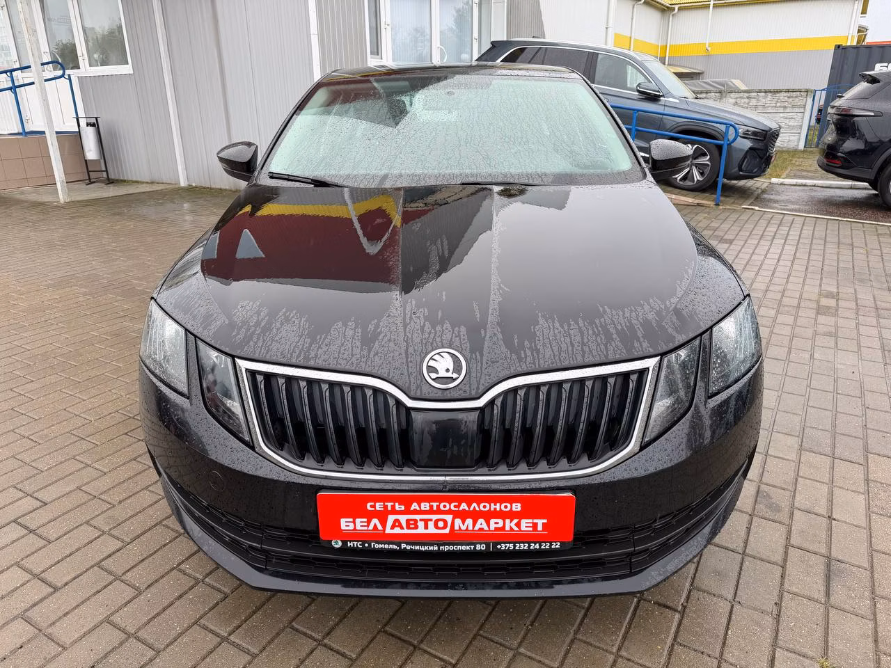 Skoda Octavia фото 2