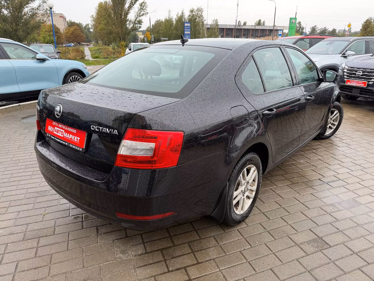 Skoda Octavia фото 4