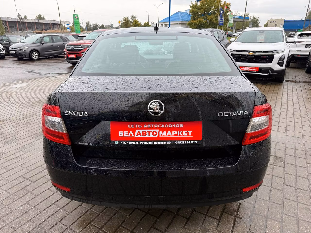 Skoda Octavia фото 7