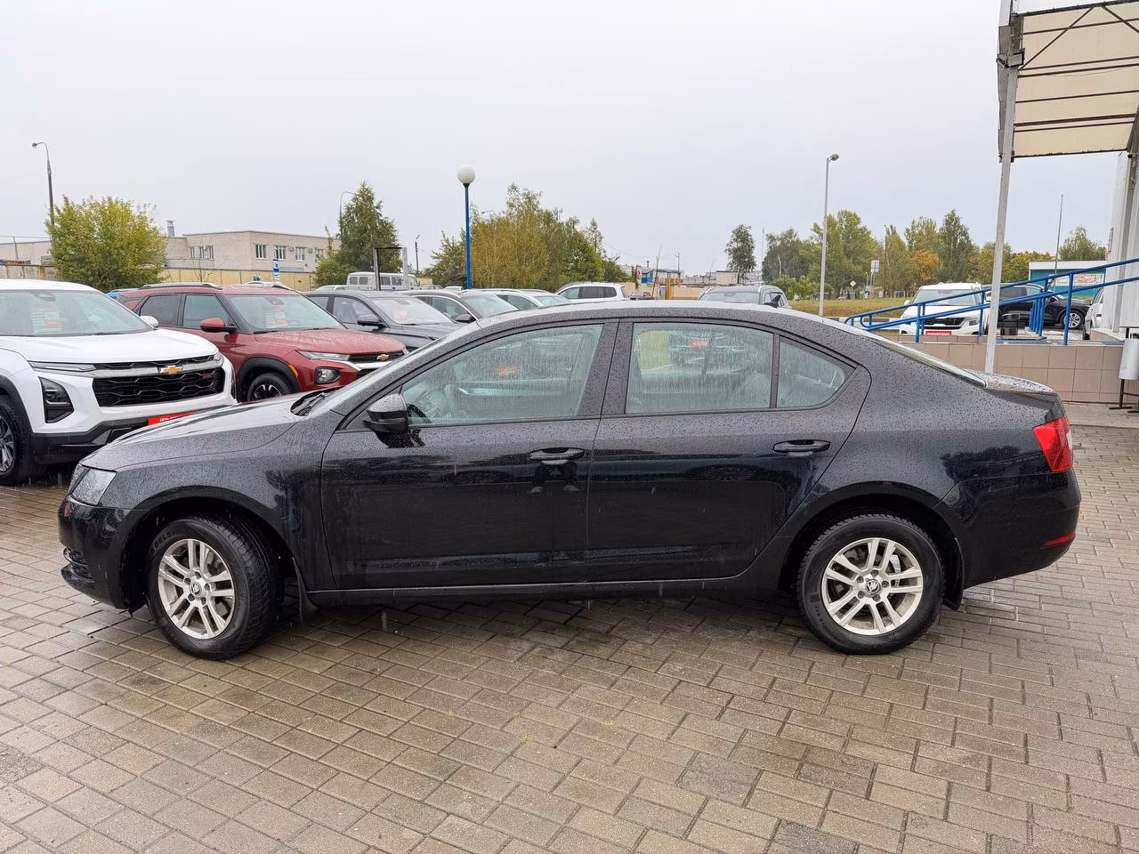 Skoda Octavia фото 8