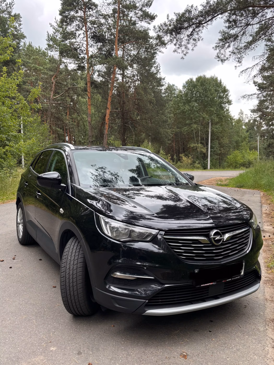 Opel Grandland X фото 2
