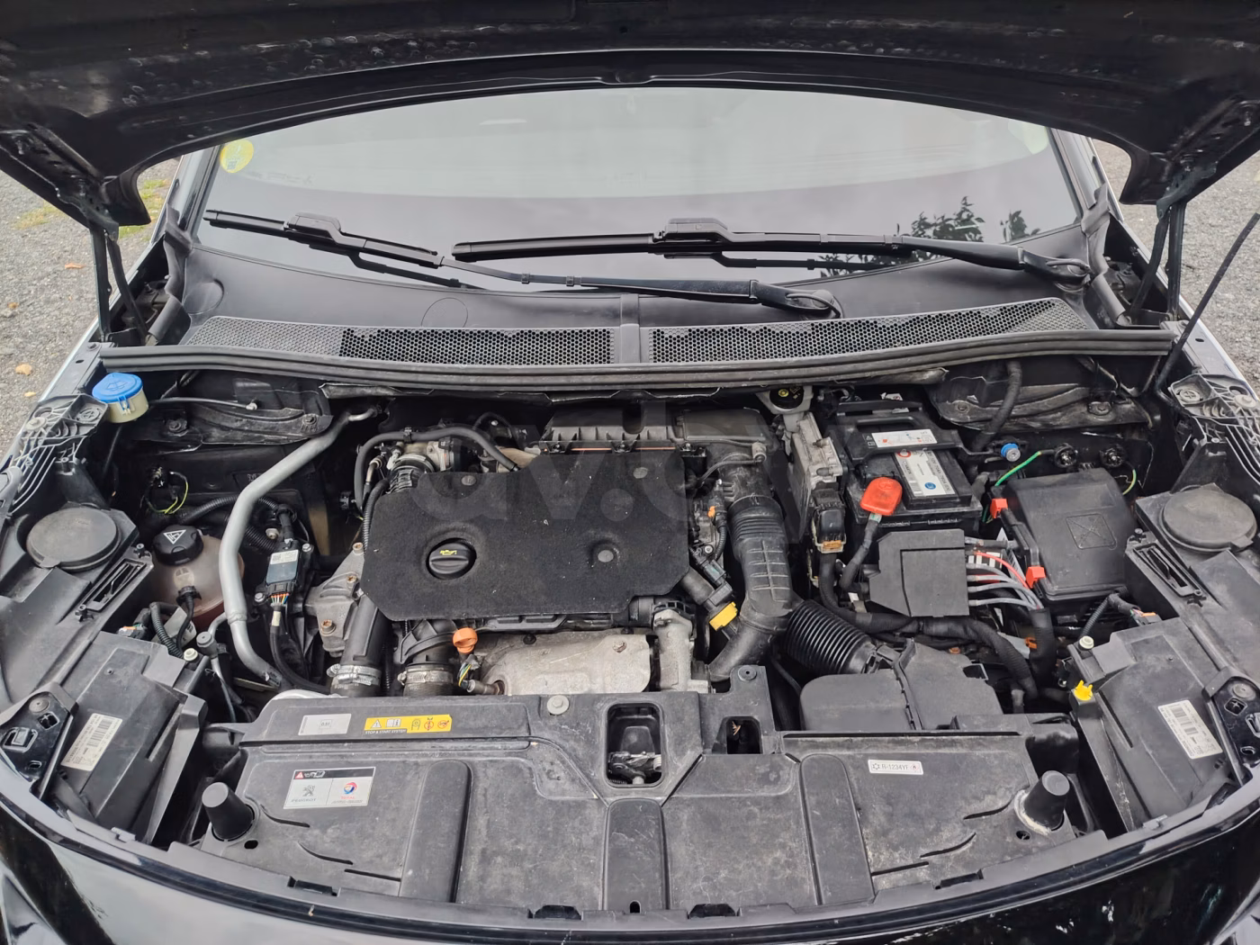 Peugeot 3008 фото 14