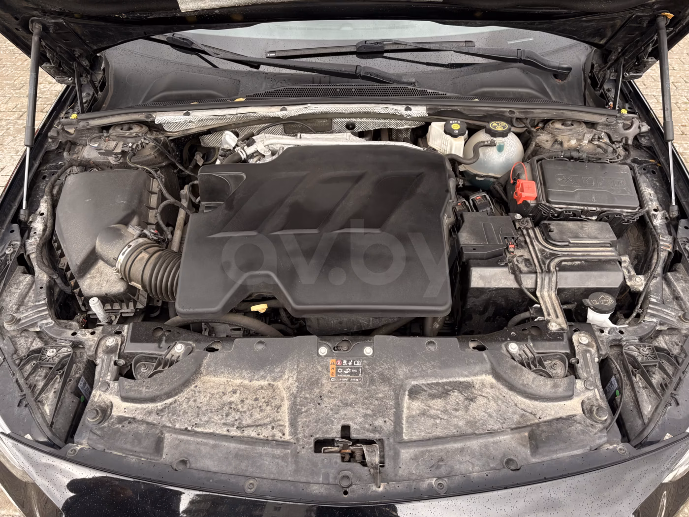 Opel Insignia фото 18