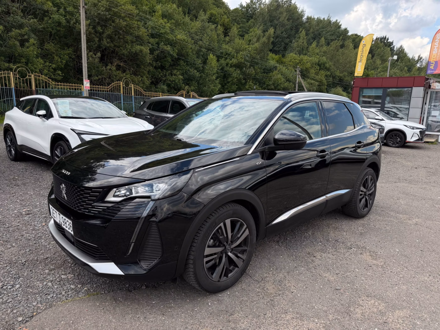 Peugeot 3008 фото 6