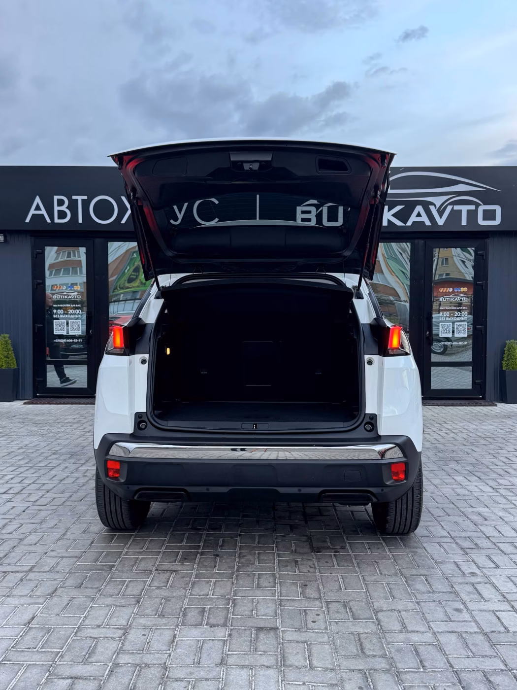 Peugeot 3008 фото 8