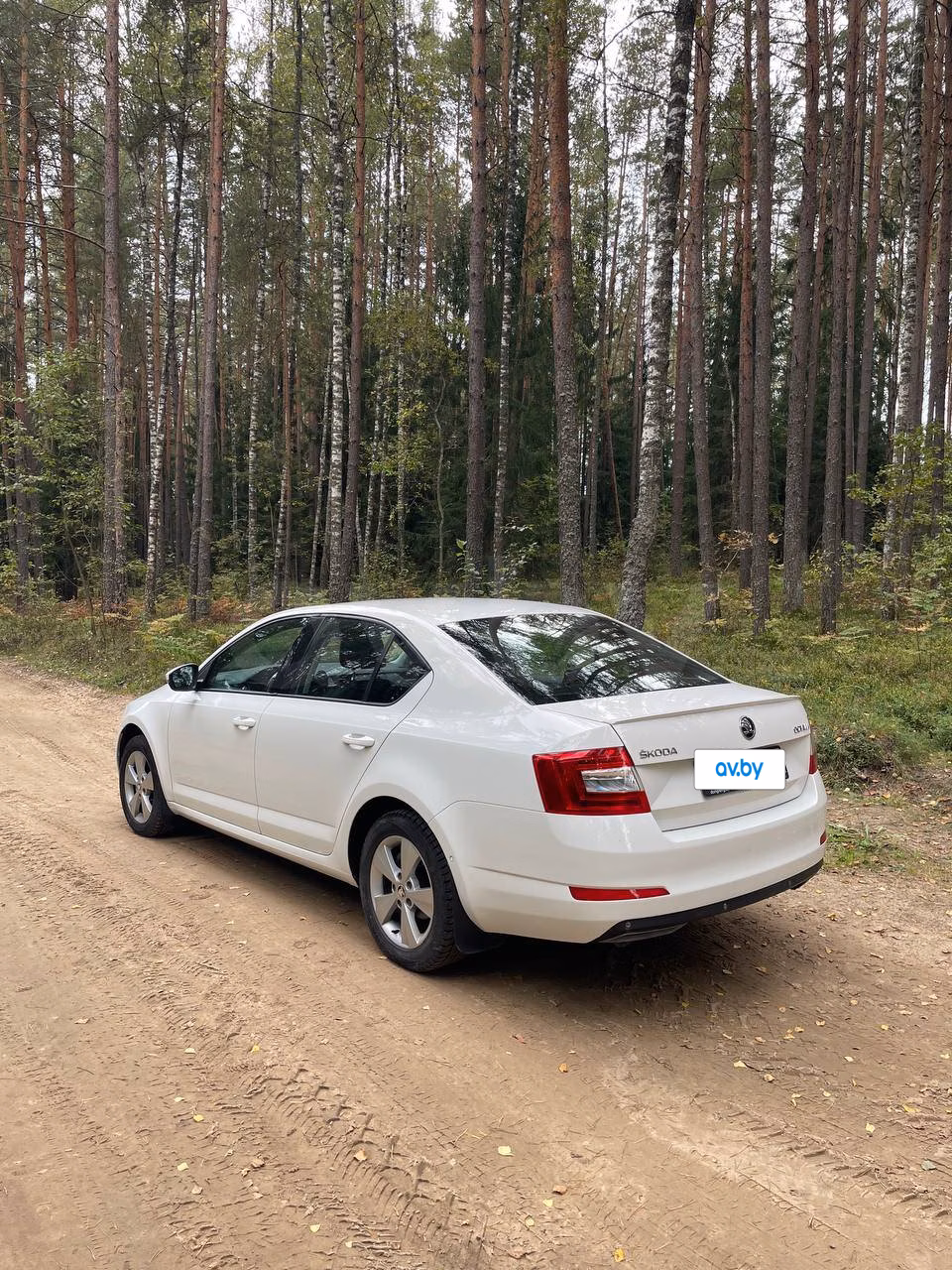 Skoda Octavia фото 2
